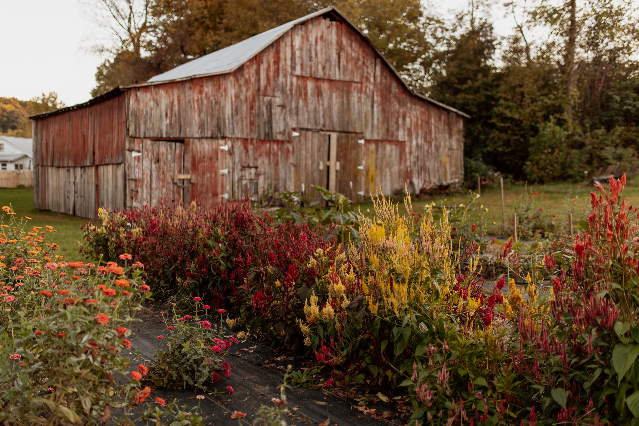 Farms